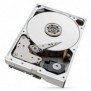 Seagate IronWolf Pro ST10000NT001, 10 To, 7200 trmin, 256 Mo, 3.5", Série ATA III