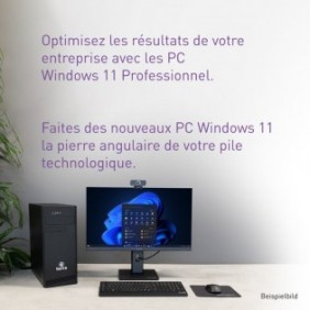 TERRA MOBILE 1516R 15,6" i3 500GB 500GB Win 11 Home