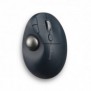 Kensington Trackball Pro Fit Ergo TB550, Droitier, Trackball, RF sans fil + Bluetooth, 1600 DPI, Noir, Gris