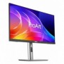 ASUS ProArt PA249CGV, 60,5 cm 23.8", 1920 x 1080 pixels, Full HD, LCD, 5 ms, Noir, Argent