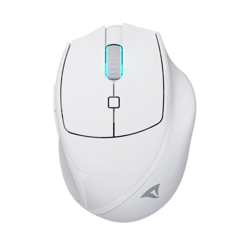 Sharkoon OfficePal M25W, Droitier, Optique, RF Wireless + USB Type-C, 4000 DPI, Blanc
