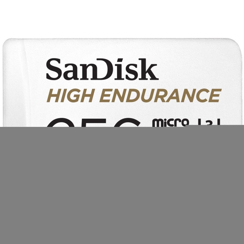 SanDisk High Endurance, 256 Go, MicroSDXC, Classe 10, UHS-I, 100 Mos, 40 Mos