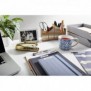 Dymo LabelManager ™ 160 AZERTY, AZERTY, D1, Transfert thermique, 180 x 180 DPI, 12 mmsec, AAA