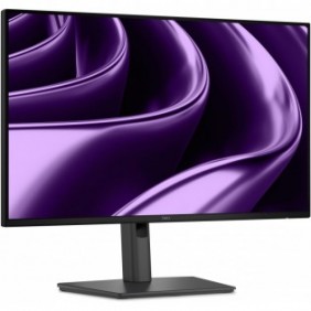 Dell Pro P P2426HE, 60,5 cm 23.8", 1920 x 1080 pixels, Full HD, LCD, 8 ms, Gris