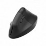 Logitech Lift for Business, Droitier, Conception verticale, Optique, RF sans fil + Bluetooth, 4000 DPI, Graphite