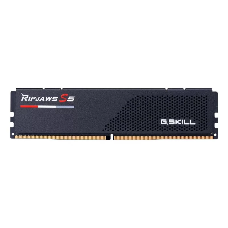 G.Skill Ripjaws S5 F5-6000J3636F16GX1-RS5K, 16 Go, 1 x 16 Go, DDR5, 288-pin DIMM