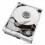 Seagate IronWolf Pro ST10000NT001, 10 To, 7200 trmin, 256 Mo, 3.5", Série ATA III
