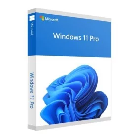 Microsoft Windows 11 Pro 64