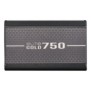 Cooler Master Elite Gold 750
