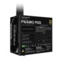 Gigabyte P650G PCIE 5.1 Alimentation – PCIe 5.1