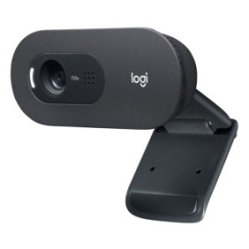 Logitech C505 HD Webcam, USB, Graphite, 52,2 mm, 101,5 mm, 81 mm, 151,8 g