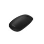 ASUS W5000, Taille réelle 100 %, Sans fil, RF sans fil, Interrupteur à clé optique, Noir, Souris incluse