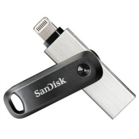 SanDisk 00183588, 128 Go, USB Type-A Lightning, 3.2 Gen 1 3.1 Gen 1, Pivotant, Protection par mot de passe, Noir, Argent