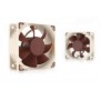 Noctua NF-A6x25 FLX, Ventilateur, 5 cm, 1600 trmin, 3000 trmin, 29,3 m³h, Beige, Marron