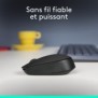 Logitech M171, Ambidextre, Optique, RF sans fil, 1000 DPI, Noir, Gris