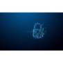 Kingston IronKey 32 Go Locker Plus 50 G2, FIPS 197, AES-256, 32 Go, USB Type-A, 3.2 Gen 1 3.1 Gen 1, 145 Mos, Casquette, Noir