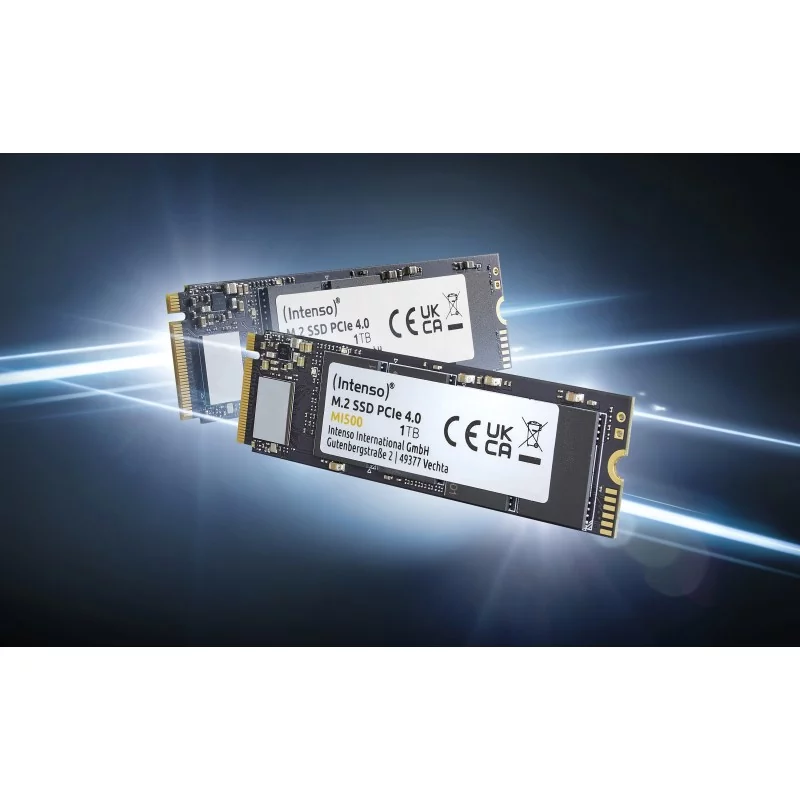 Intenso MI500, 500 Go, M.2, 5300 Mos