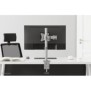 Neomounts NM-D135SILVER Support d'écran à fixer 10-30", Collier de serrage passe-fil, 8 kg, 25,4 cm 10", 76,2 cm 30", 100 x 100 mm, Argent