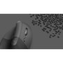 Logitech Lift, Droitier, Conception verticale, Optique, RF sans fil + Bluetooth, 4000 DPI, Graphite