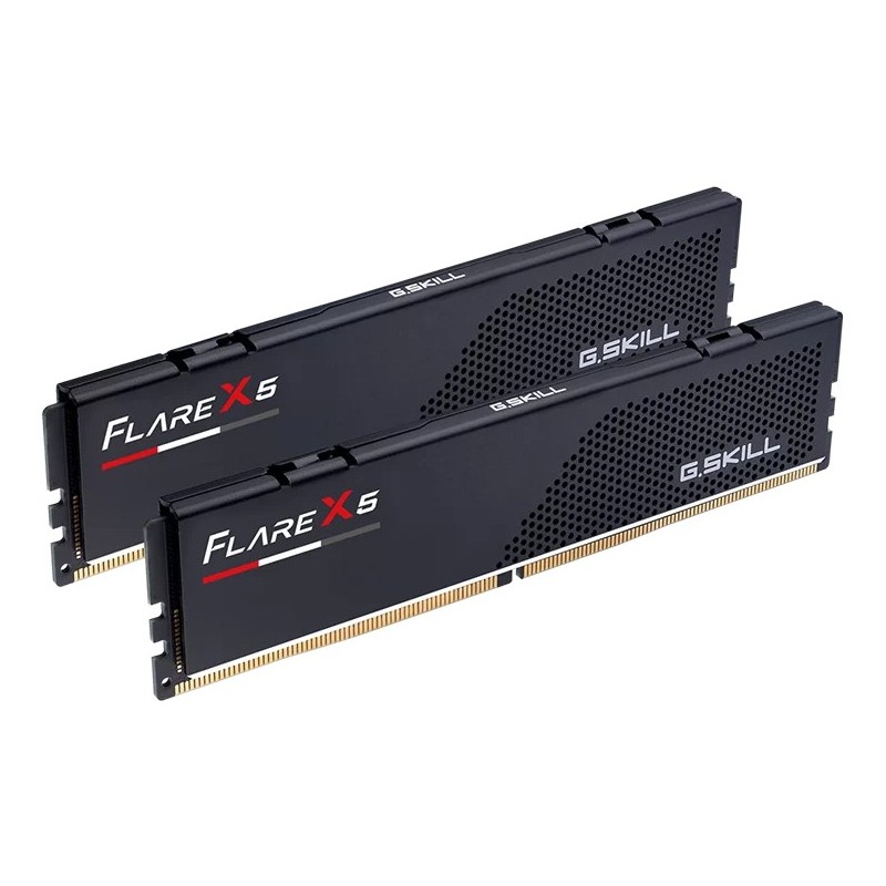 G.Skill Flare X5 F5-5200J4040A48GX2-FX5, 96 Go, 2 x 48 Go, DDR5, 5200 MHz, 288-pin DIMM