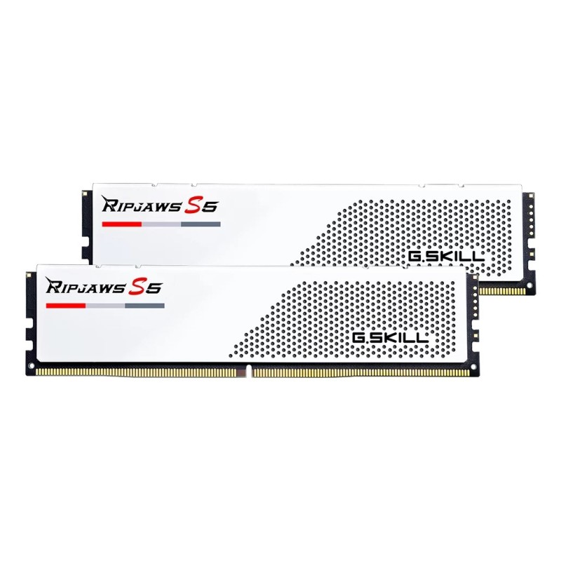 G.Skill Ripjaws S5 F5-5200J4040A48GX2-RS5W, 96 Go, 2 x 48 Go, DDR5, 5200 MHz, 288-pin DIMM