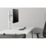 Neomounts NM-D135WHITE Support d'écran à fixer 10-30", Collier de serrage passe-fil, 8 kg, 25,4 cm 10", 76,2 cm 30", 100 x 100 mm, Blanc