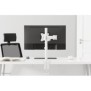 Neomounts NM-D135WHITE Support d'écran à fixer 10-30", Collier de serrage passe-fil, 8 kg, 25,4 cm 10", 76,2 cm 30", 100 x 100 mm, Blanc