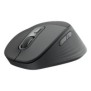 Logitech Signature Comfort Plus M850 L for Business, Droitier, Optique, RF sans fil + Bluetooth, 4000 DPI, Graphite