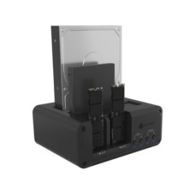 ICY BOX IB-2925MS-CU31, HDD, SSD, M.2, Série ATA III, 2.5,3.5,M.2, 48 To, USB 3.2 Gen 2 3.1 Gen 2 Type-C, Noir