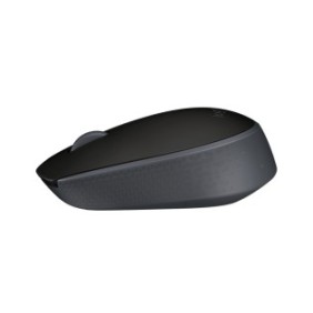 Logitech M171, Ambidextre, Optique, RF sans fil, 1000 DPI, Noir, Gris