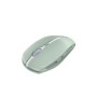 Cherry GENTIX BT, Ambidextre, Optique, Bluetooth, 2000 DPI, Vert