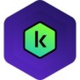 Kaspersky Premium, 1 licence, 1 année, Complète, Téléchargement