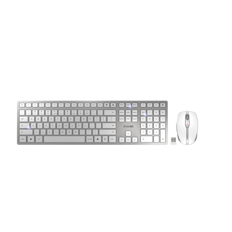 Cherry DW 9100 SLIM, Sans fil, RF sans fil + Bluetooth, QWERTY, Argent, Souris incluse