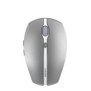 Cherry GENTIX BT, Ambidextre, Optique, Bluetooth, 2000 DPI, Gris