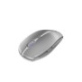 Cherry GENTIX BT, Ambidextre, Optique, Bluetooth, 2000 DPI, Gris