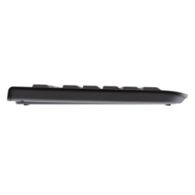 Cherry DC 2000, Taille réelle 100 %, Avec fil, USB, QWERTZ, Noir, Souris incluse