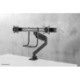 Neomounts NM-D775DXBLACK Support d'écran à fixer 10-32" - ressort à gaz - Topfix - arrêt 180, Collier de serrage passe-fil, 8 kg, 25,4 cm 10", 81,3 cm 32", 100 x 100 mm, Noir