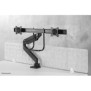 Neomounts NM-D775DXBLACK Support d'écran à fixer 10-32" - ressort à gaz - Topfix - arrêt 180, Collier de serrage passe-fil, 8 kg, 25,4 cm 10", 81,3 cm 32", 100 x 100 mm, Noir