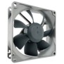 Noctua NF-R8 redux-1800 PWM, Ventilateur, 8 cm, 1800 trmin, Noir, Gris