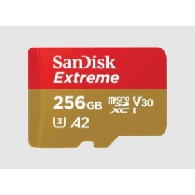 SanDisk Extreme, 256 Go, MicroSDXC, Classe 3, UHS-I, 160 Mos, 90 Mos