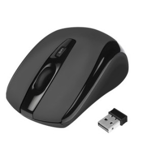 LogiLink ID0031, Ambidextre, Optique, RF sans fil, 1600 DPI, Noir