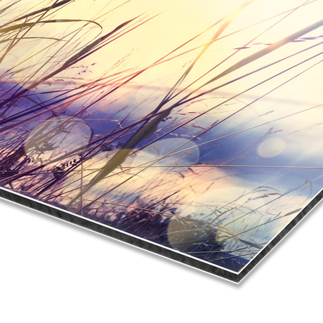 Impression photo sur Aluminium