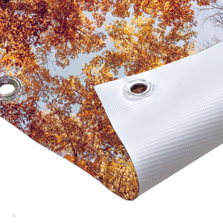 Impression photo sur toile de jardin